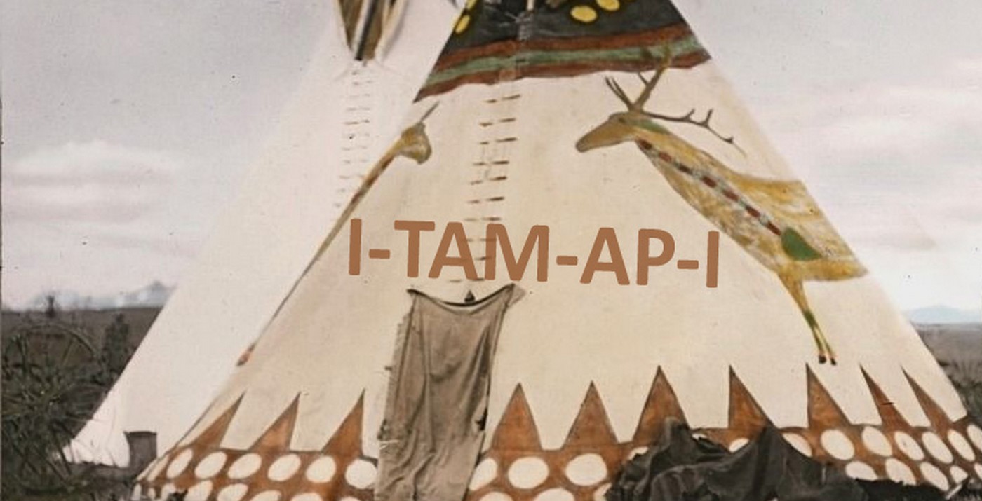 tipi