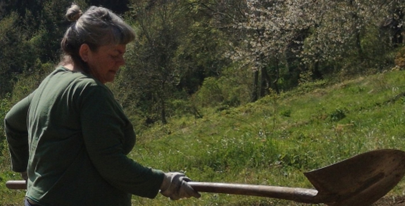 elisabetta basili